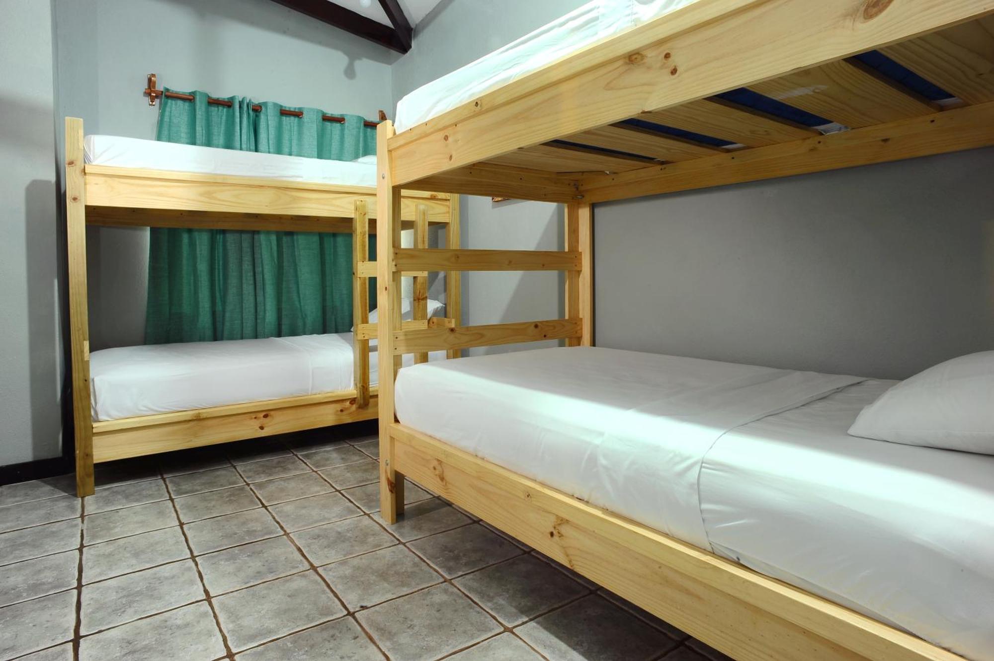 Wide Mouth Frog Quepos Hostel Manuel Antonio