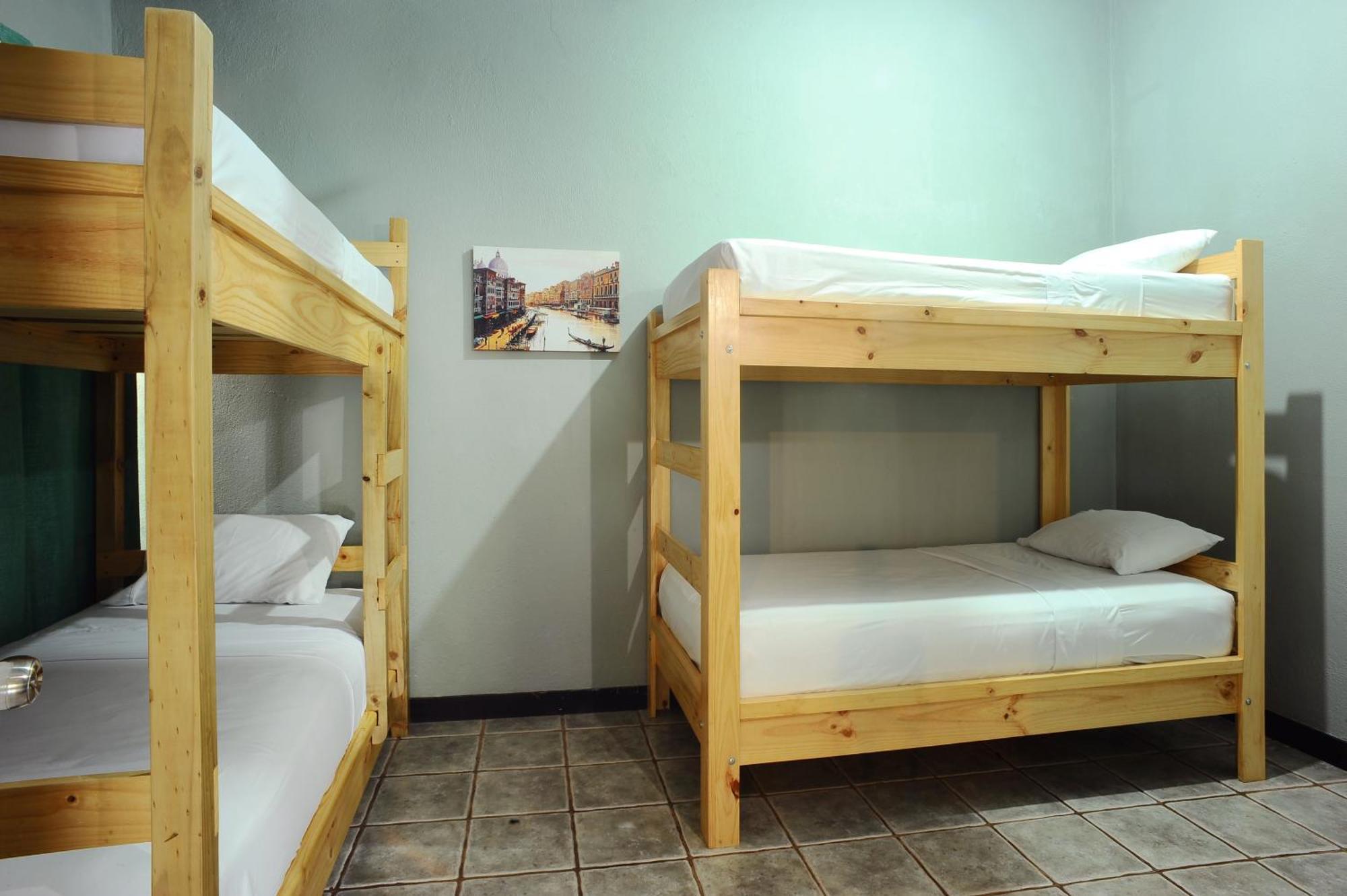 Hostel Wide Mouth Frog Quepos *