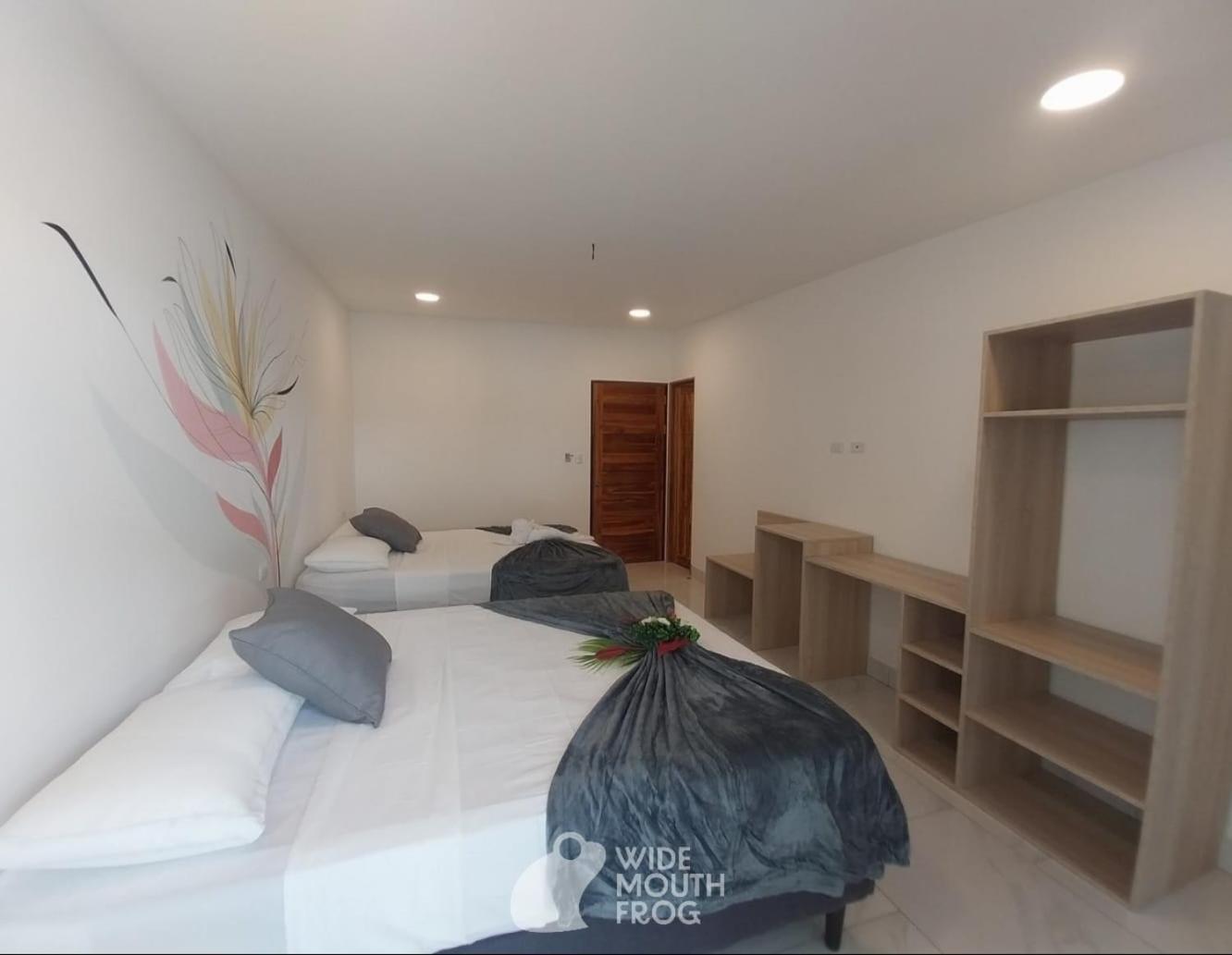 Hostel Wide Mouth Frog Quepos Manuel Antonio