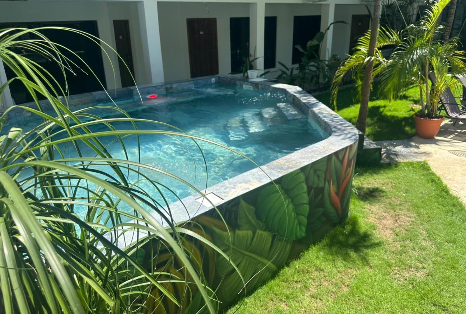 Wide Mouth Frog Quepos Hostel Manuel Antonio