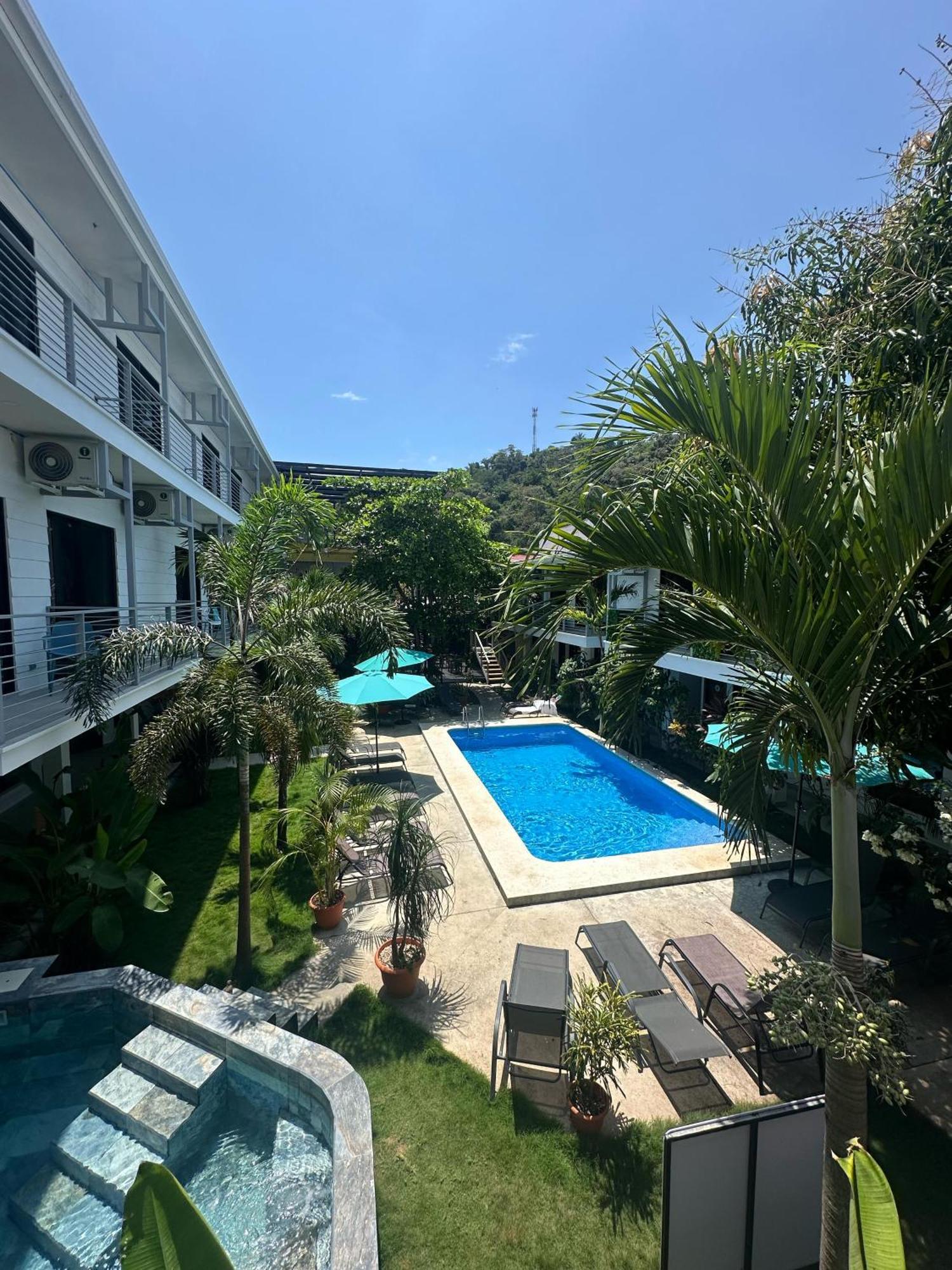Hostel Wide Mouth Frog Quepos Manuel Antonio