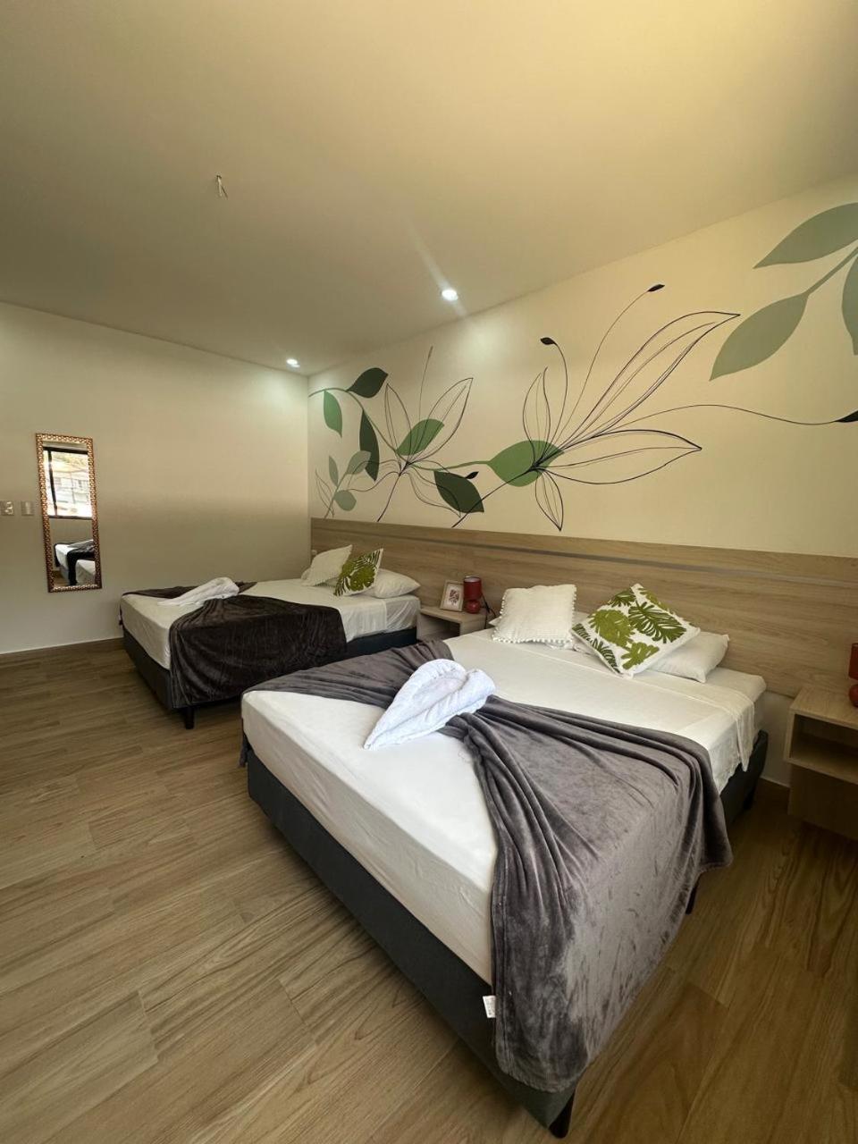 Wide Mouth Frog Quepos Hostel Manuel Antonio
