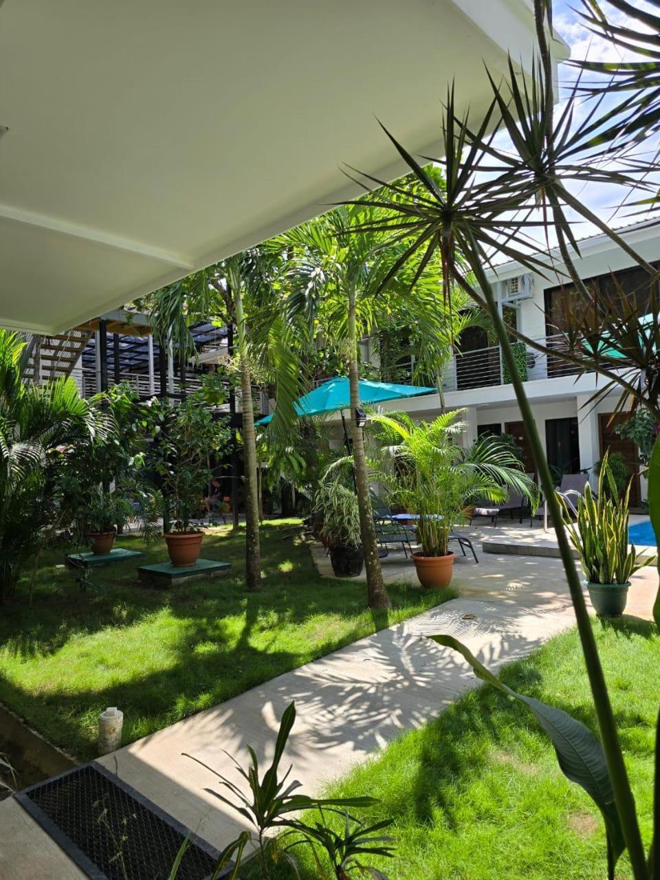 Wide Mouth Frog Quepos Hostel Manuel Antonio