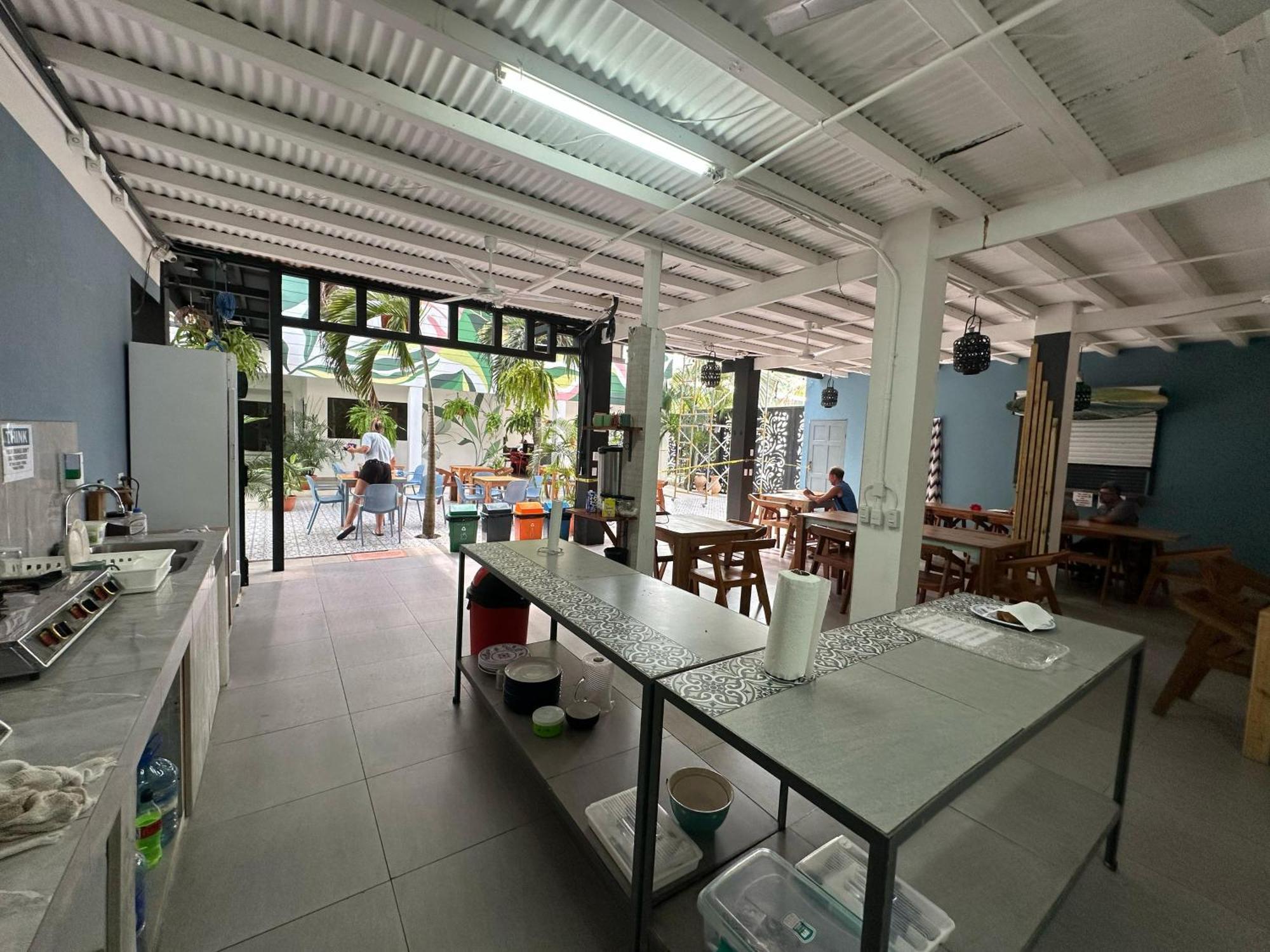 Hostel Wide Mouth Frog Quepos Manuel Antonio