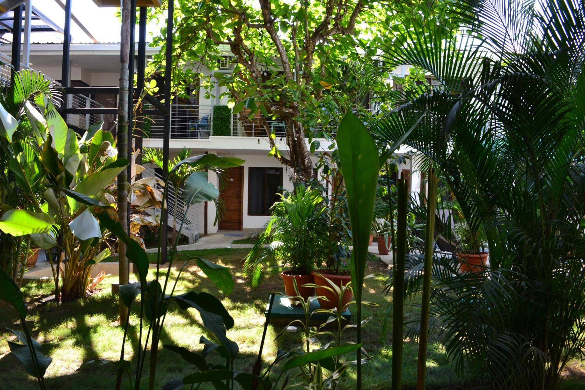 Hostel Wide Mouth Frog Quepos Manuel Antonio