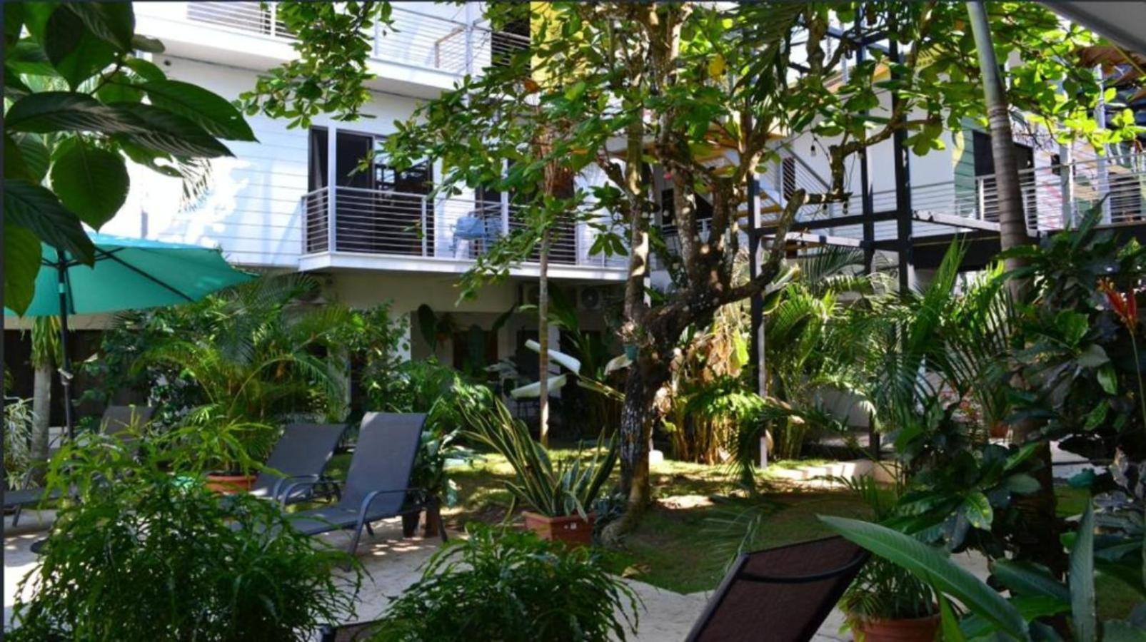 Hostel Wide Mouth Frog Quepos