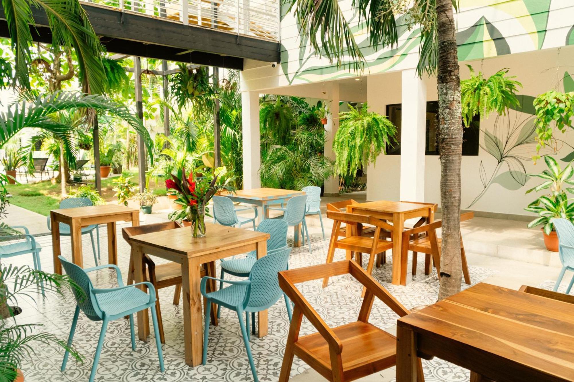 Wide Mouth Frog Quepos Hostel Manuel Antonio