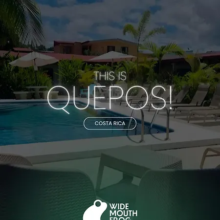 Wide Mouth Frog Quepos Hostel Manuel Antonio Buitenkant foto