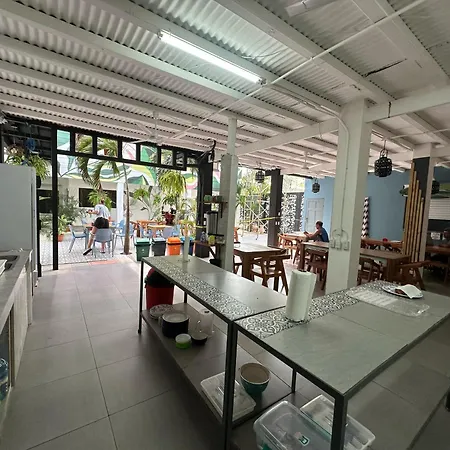 Wide Mouth Frog Quepos Hostel Manuel Antonio Exterior photo