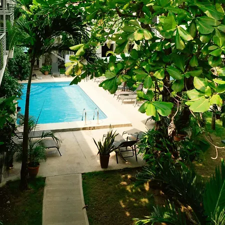 Wide Mouth Frog Quepos Hostel Manuel Antonio Exterior photo