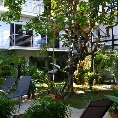 Wide Mouth Frog Quepos Hostel Manuel Antonio Exterior photo